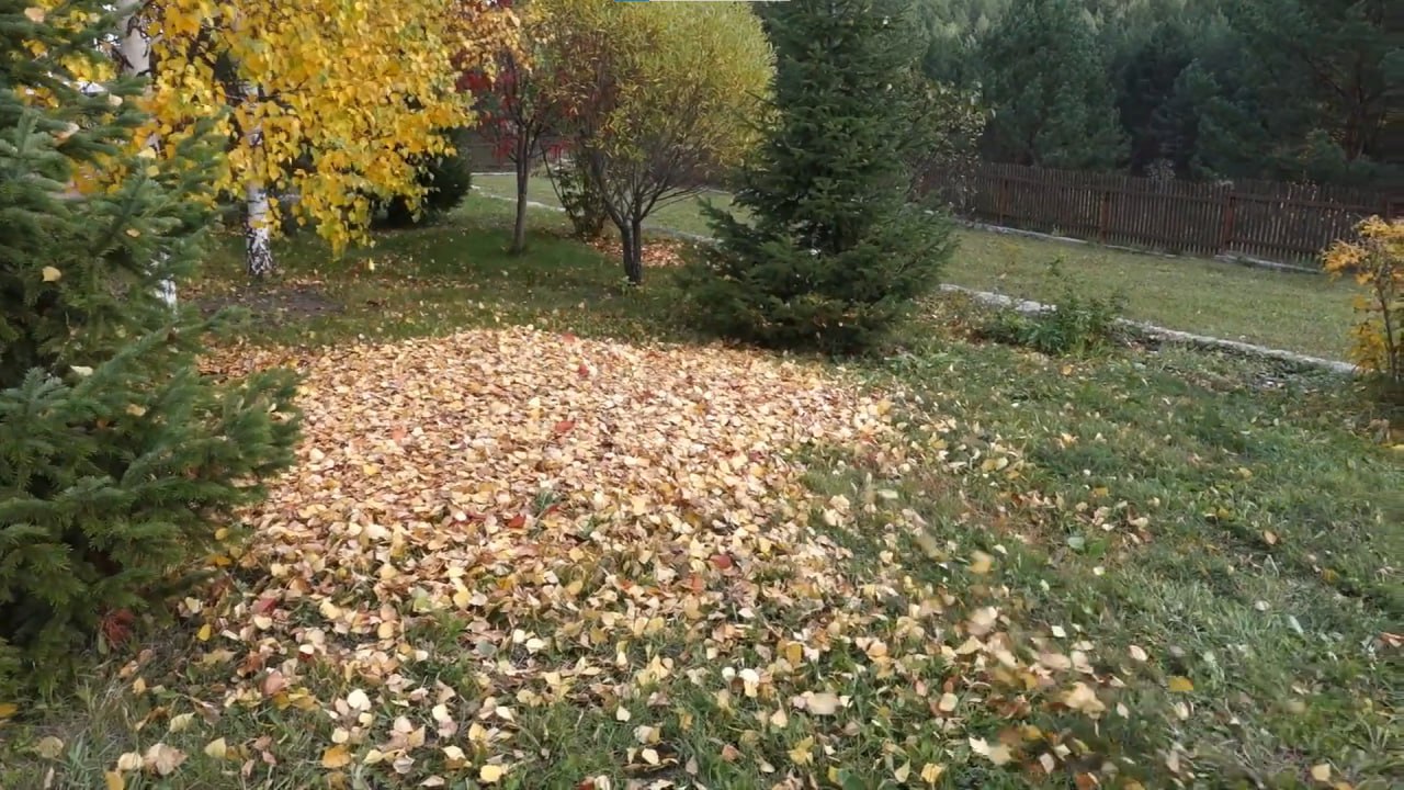 https://tambov.mslandshaft.ru/storage/app/uploads/public/642/ac5/f22/642ac5f2293e2935715739.jpg